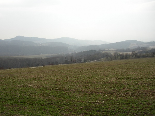 600x450 pixels (100K)
