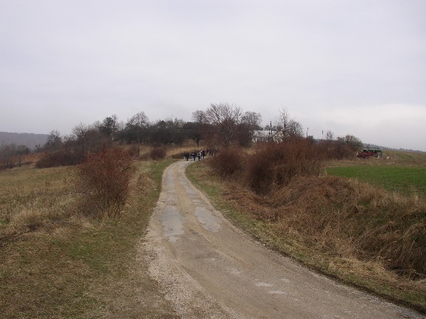 600x450 pixels (100K)