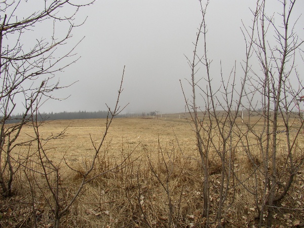 600x450 pixels (155K)