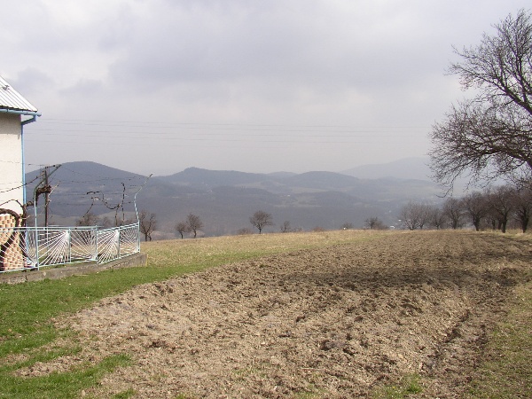 600x450 pixels (129K)
