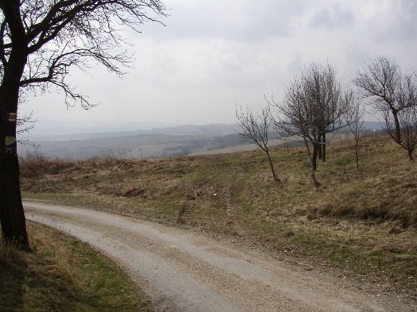 600x450 pixels (137K)