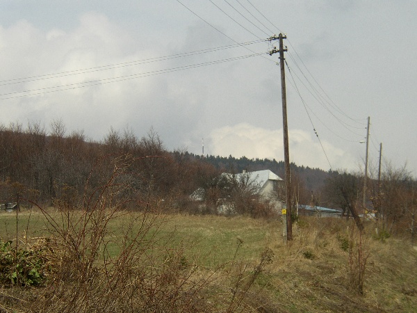 600x450 pixels (113K)