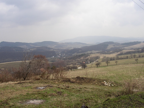 600x450 pixels (105K)