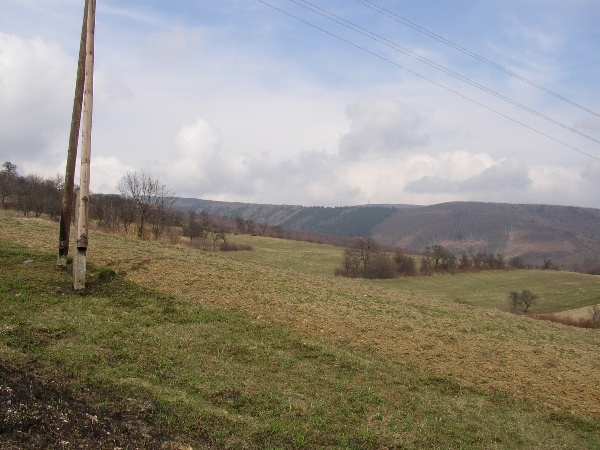 600x450 pixels (113K)