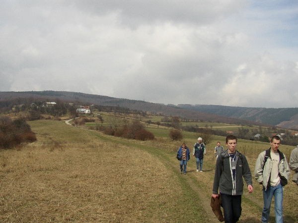 600x450 pixels (106K)