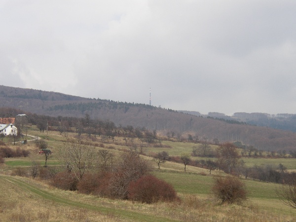 600x450 pixels (82K)