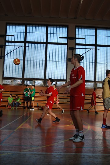 img00185.jpg