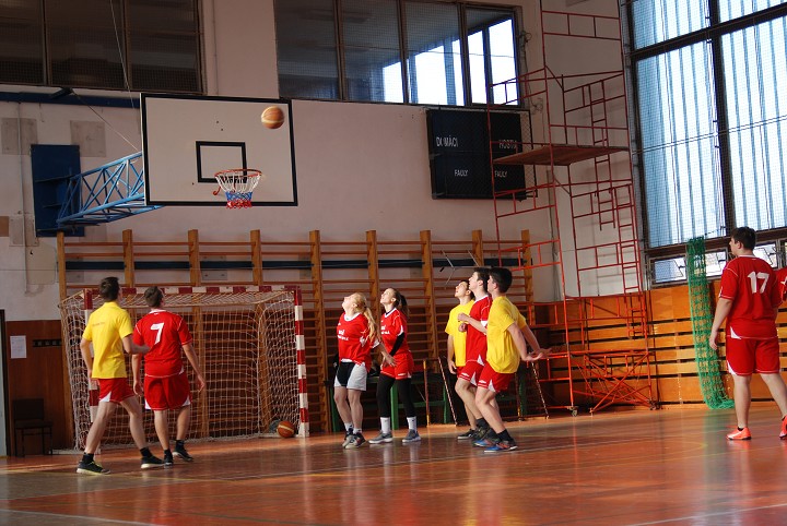 img00380.jpg
