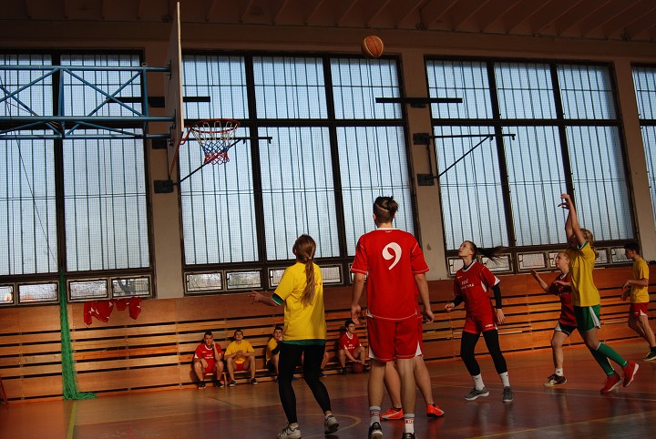 img00419.jpg