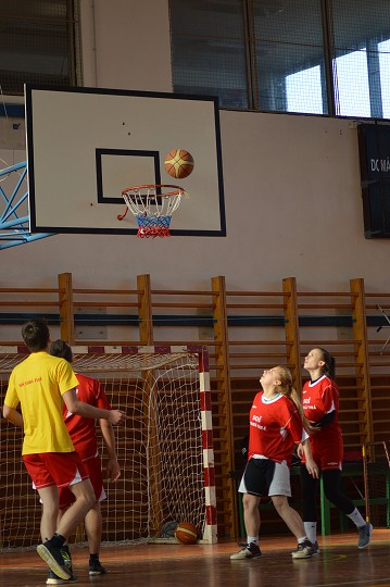 img00175.jpg