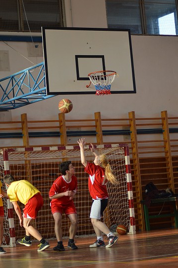 img00179.jpg