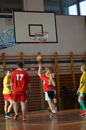 img00187.jpg