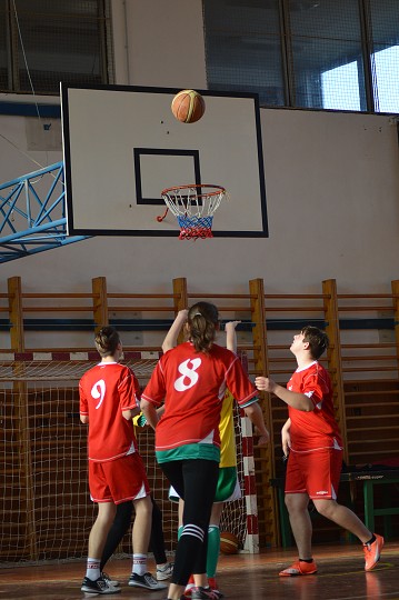 img00212.jpg