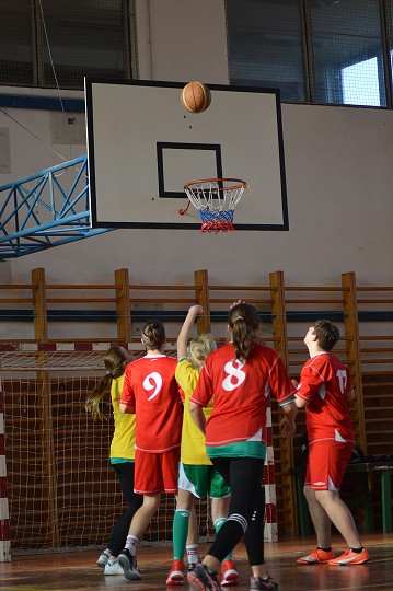 img00213.jpg